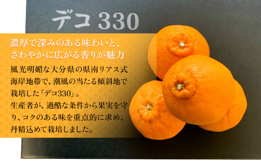 完熟みかん デコポン デコ330 約3kg | ミカン 大分県 九州 津久見市 国産