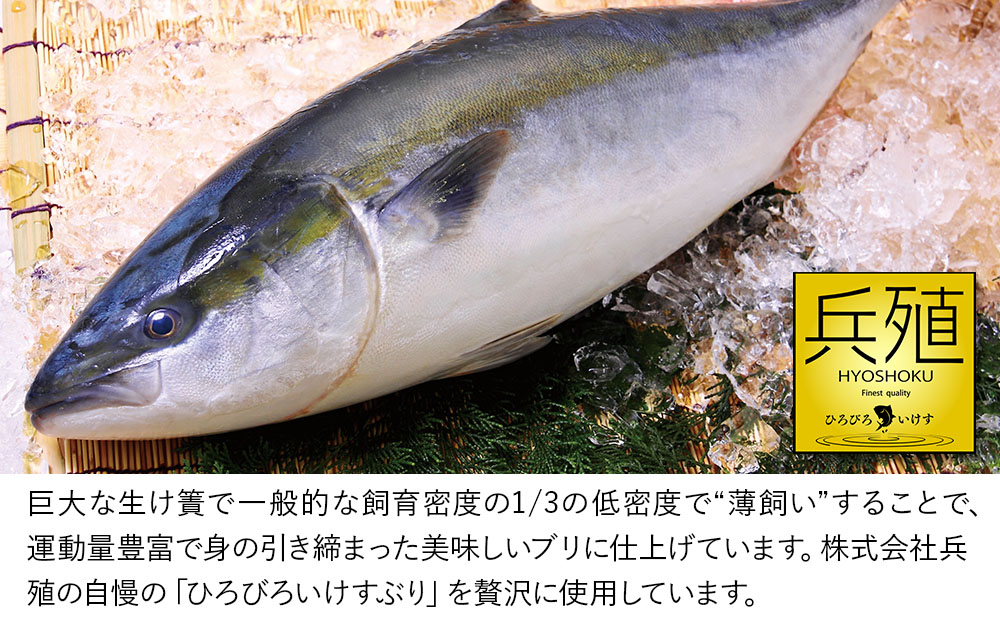 ブリ丼・ひゅうが丼セット 各120g×2 | ぶり まぐろ 鮪 マグロ 海鮮丼 刺し身 鮮魚 漬け丼 津久見市