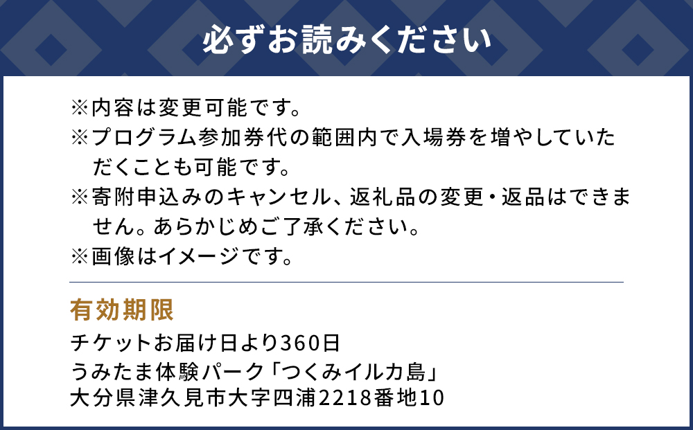 イルカと泳ごう！シングル（イルカとふれあい体験チケット）体験チケット レジャーチケット アクティビティ 動物ふれあい 大分県産 九州産 津久見市 熨斗対応