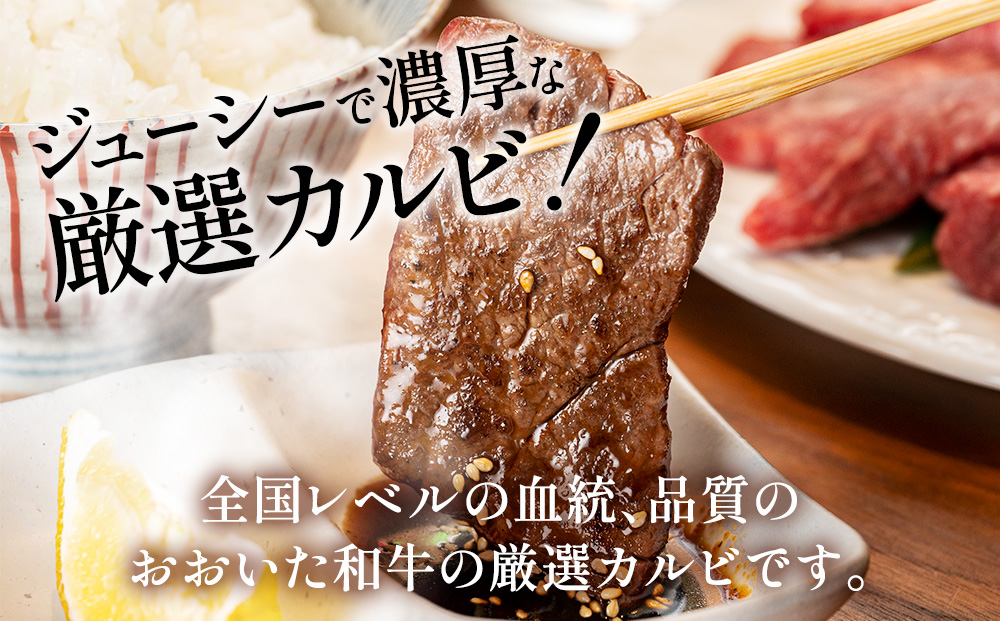 おおいた和牛 焼肉300g 和牛 豊後牛 国産牛 赤身肉 焼き肉 大分県産 九州産 津久見市 国産