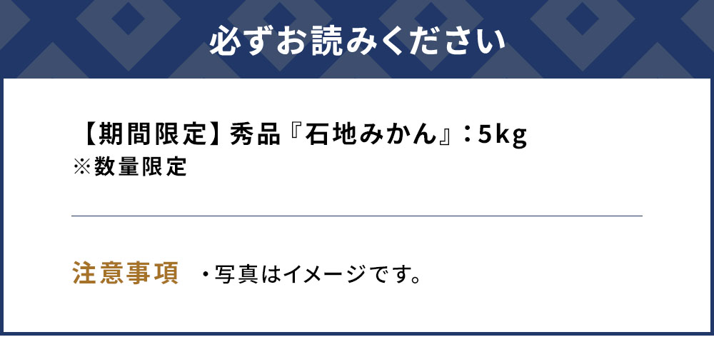 【先行予約・数量限定】野の花ファーム 秀品 石地みかん 5kg | ミカン オレンジ 果物 くだもの 大分県 九州 津久見市 国産