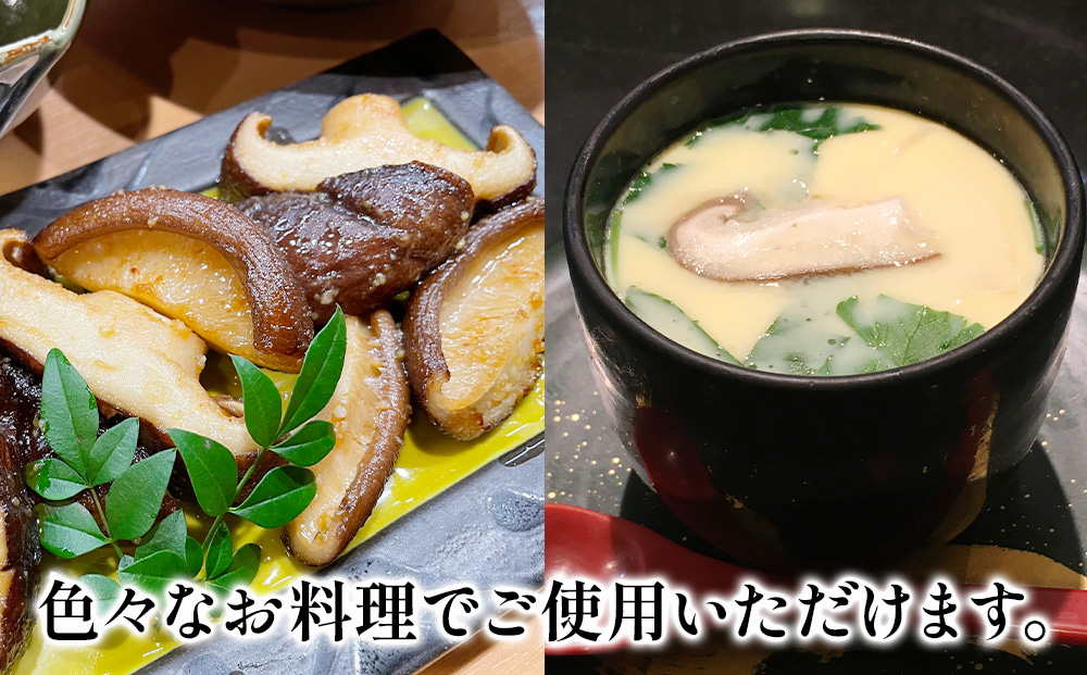 【最高級】 大分県産 花どんこ椎茸 380g | 山のあわび 乾燥 干ししいたけ 大分県 津久見市 九州産 熨斗対応