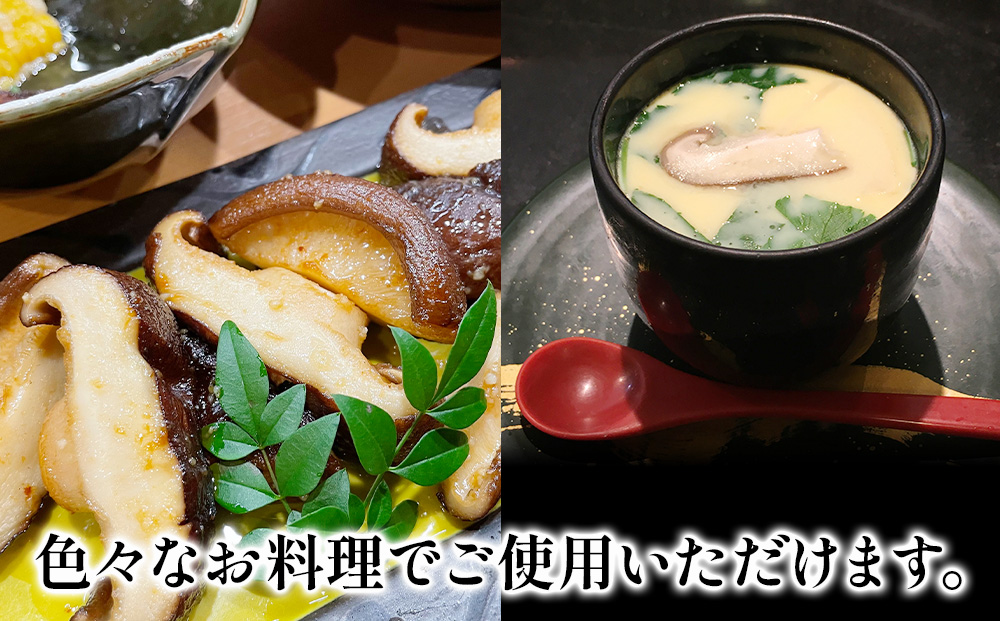 乾燥椎茸 訳あり 椎茸100g×5パック | 干ししいたけ 大分県 津久見市 九州産