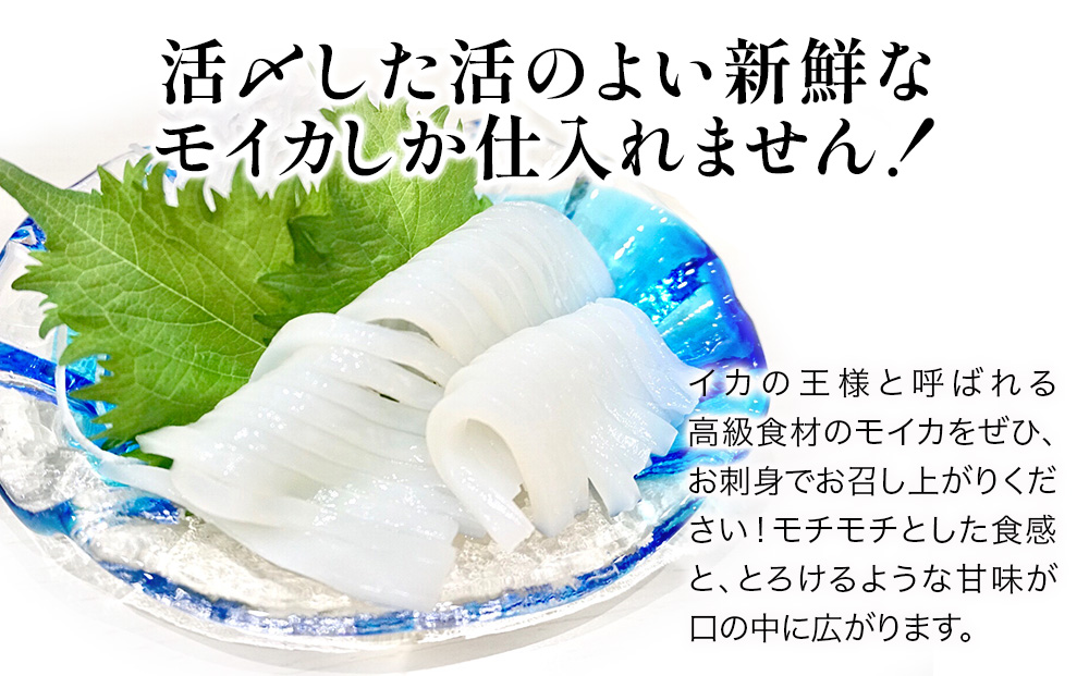 獲れたて モイカ 2kg(2～4杯) 新鮮 アオリイカ イカ 刺身 刺し身 もいか あおりいか 水いか 水イカ 大分県産 九州産 津久見市