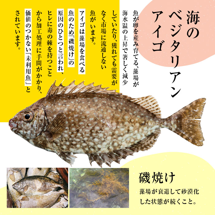 アイゴのトトジャーキー 30g×3袋 魚 おつまみ スナック おやつ 珍味 加工品 ジャーキー 常温 保存料不使用 大分県産 九州産 津久見市 国産