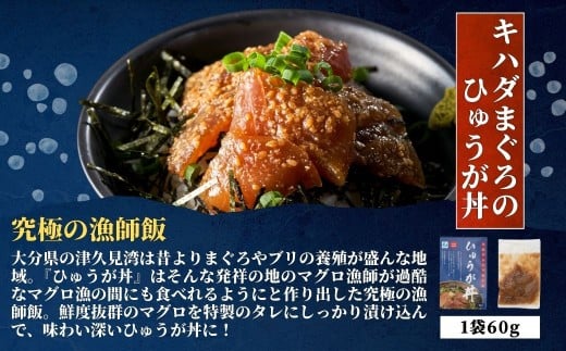 海鮮丼 / 漬け丼 豊後水道の海鮮丼（漬け丼） 3種食べ比べ海鮮丼セット＜キハダまぐろのひゅうが丼/活きぶり丼/津あじ丼＞各2食ずつ計6食 | 海鮮丼 漬け丼 漬丼 かいせんどん カイセンドン 丼 食べ比べ 鮪 マグロ 鰤 ブリ 鯵 アジ 大分郷土料理 魚 冷凍 クール便 加工品 惣菜 刺身 詰め合わせ 九州 大分県 津久見市