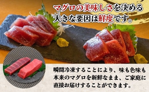 【本マグロ・メバチまぐろ / マグロ食べ比べ】まぐろ赤身食べ比べセット (各400g／計800g) | 本まぐろ マグロ まぐろ冊 マグロ刺身 まぐろ食べ比べ メバチマグロ まぐろ丼 マグロ刺身 あかみ 本鮪 赤身 食べ比べ 海鮮丼 津久見市