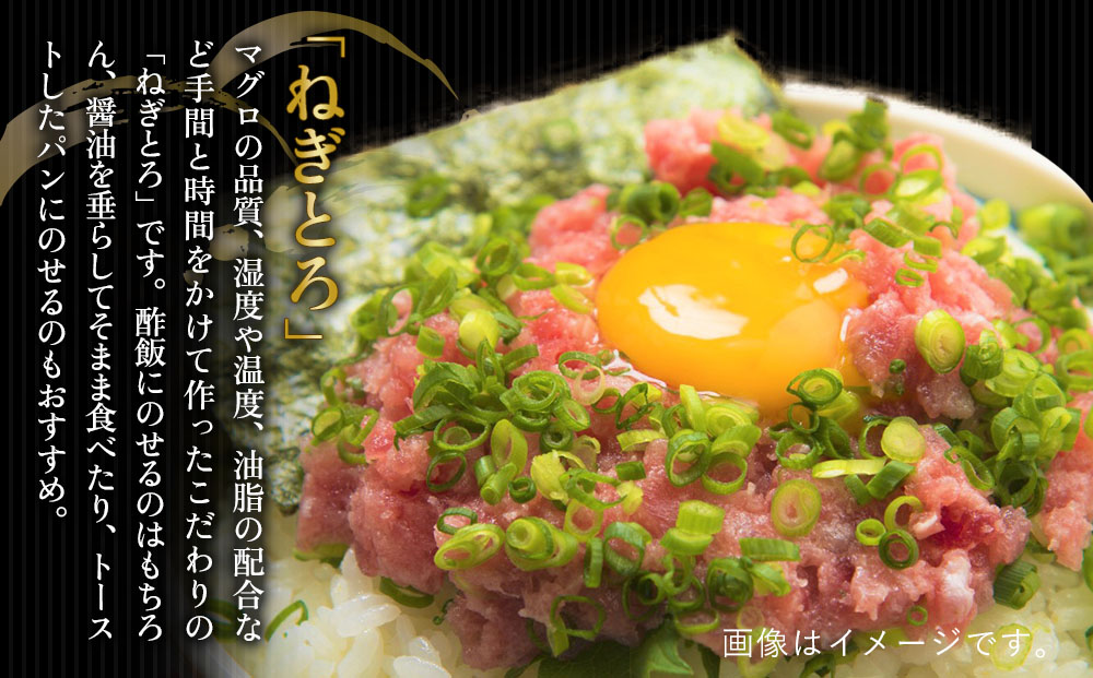 【どんぶり3種セット】 ぶりのりゅうきゅう丼・まぐろの漬け丼（ひゅうが丼）・まぐろのたたき（ねぎとろ）セット | 海鮮丼 大分県 九州 津久見市