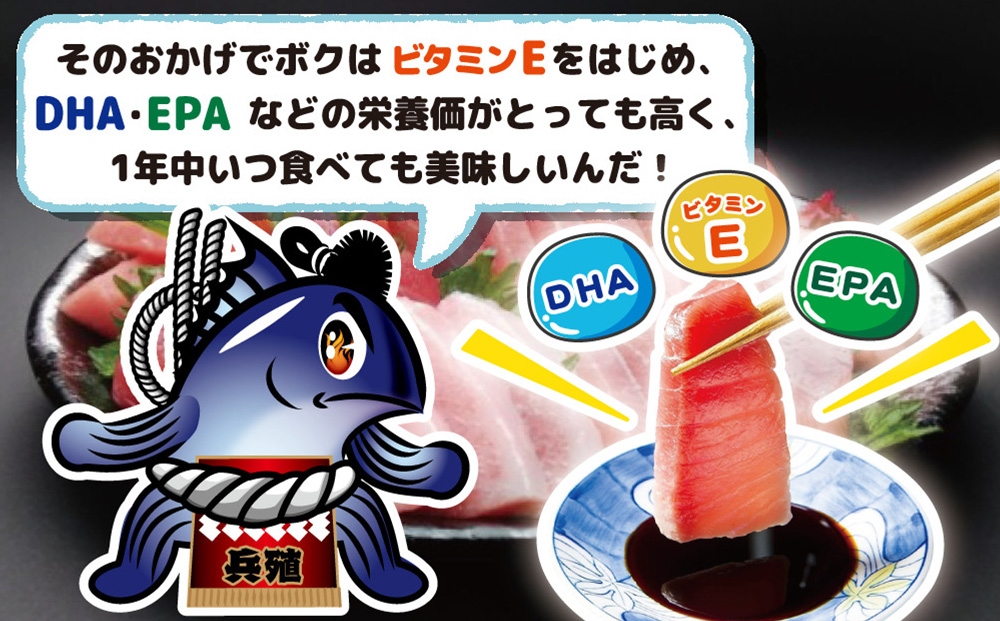 豊後まぐろ ヨコヅーナ刺身用・中トロ 400g | マグロ 刺身 冷凍 大分県 九州 津久見市 国産