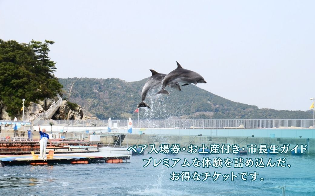 【お土産付】 市長が案内する「つくみイルカ島」 ペア入場券 | チケット イルカ 体験 チケット 大分県 九州 津久見市