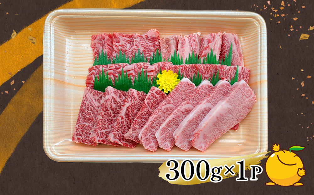 おおいた和牛 焼肉300g 和牛 豊後牛 国産牛 赤身肉 焼き肉 大分県産 九州産 津久見市 国産