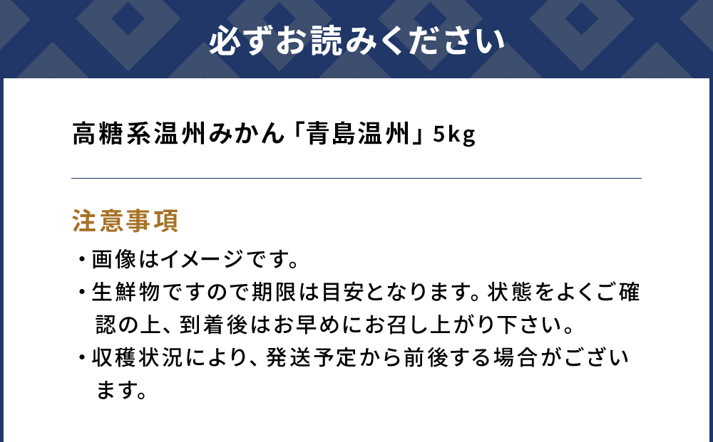 【先行予約】大村農園の温州みかん 青島温州 5kg | みかん ミカン 果物 大分県 九州 津久見市 国産