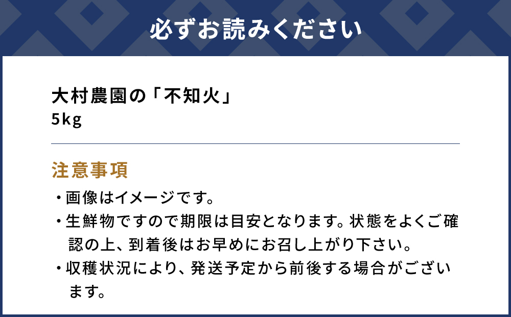 【先行予約】大村農園のみかん 不知火 5kg | ミカン オレンジ 果物 大分県 九州 津久見市 国産