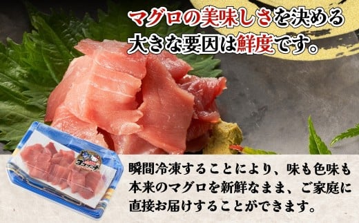 本まぐろ・まぐろ中トロ / 本まぐろ 保戸島産本まぐろの中トロ切り落し1パック (100g) | 本マグロ まぐろ冊 まぐろ切落 まぐろ刺身 まぐろトロ まぐろ保戸島 まぐろ豊後 マグロ中トロ まぐろ飯 まぐろ丼 maguro 　大分県 九州 津久見市