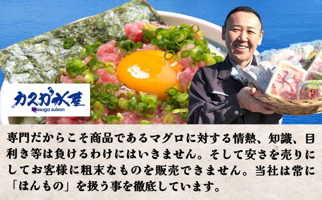 マグロのたたき（ねぎとろ）ざんまい 80g×8P | 小分け 鮪 ネギトロ 津久見市