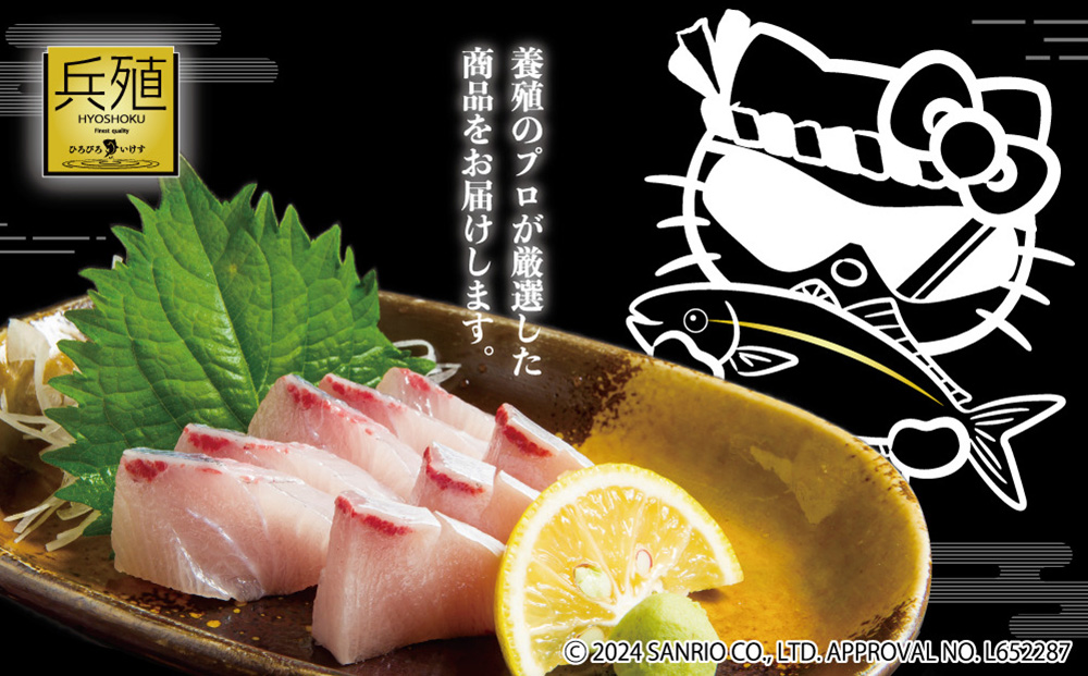 【先行予約】ひろびろいけすぶり(フィレ・片身)1枚 ※2月発送 | ぶり 刺身 大分県 九州 津久見市 国産