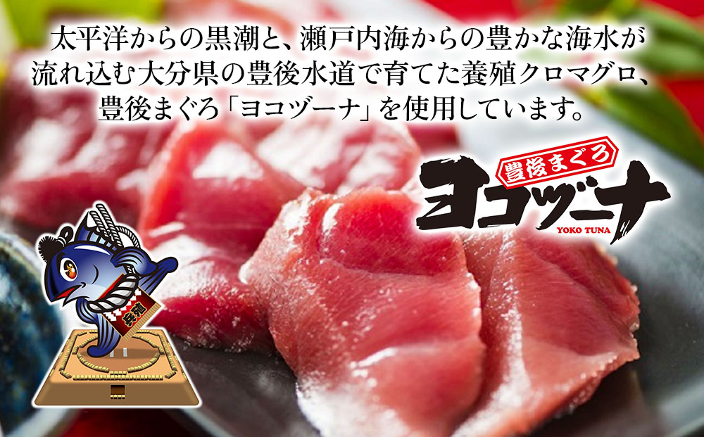 ブリ丼・ひゅうが丼セット 各120g×2 | ぶり まぐろ 鮪 マグロ 海鮮丼 刺し身 鮮魚 漬け丼 津久見市