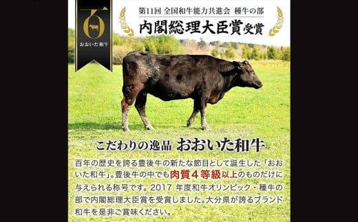 おおいた和牛ヒレステーキ (2枚)　|　津久見市 お肉 ブランド牛 希少部位 冷蔵 真空包装 国産