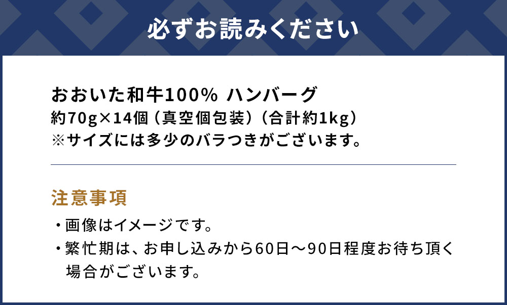 【おおいた和牛100%】 ハンバーグ 約70g×14個 合計約1kg | 牛肉 豊後牛 惣菜 冷凍 大分県 九州 津久見市 国産