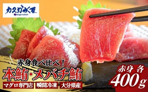 【本マグロ・メバチまぐろ / マグロ食べ比べ】まぐろ赤身食べ比べセット (各400g／計800g) | 本まぐろ マグロ まぐろ冊 マグロ刺身 まぐろ食べ比べ メバチマグロ まぐろ丼 マグロ刺身 あかみ 本鮪 赤身 食べ比べ 海鮮丼 津久見市