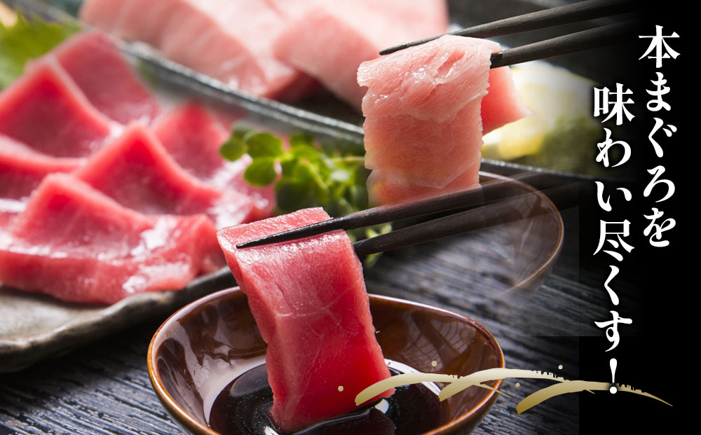 本マグロ まぐろ 中トロ 約500g・赤身 約600gセット 鮪 海鮮丼 刺し身 刺身 盛り合わせ 冷凍 魚の刺身 大分県産 九州産 津久見市 熨斗対応