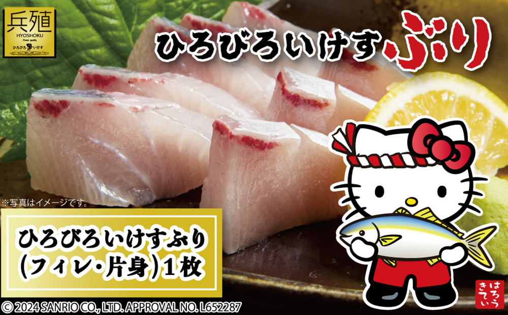 【先行予約】ひろびろいけすぶり(フィレ・片身)1枚 ※2月発送 | ぶり 刺身 大分県 九州 津久見市 国産