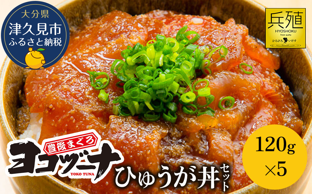 豊後まぐろ ヨコヅーナ ひゅうが丼セット 120g×5 | マグロ 海鮮丼 津久見市