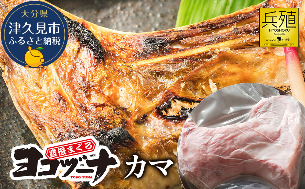 豊後まぐろ ヨコヅーナ カマ | マグロ かま 希少部位 冷凍 大分県 九州 津久見市 国産