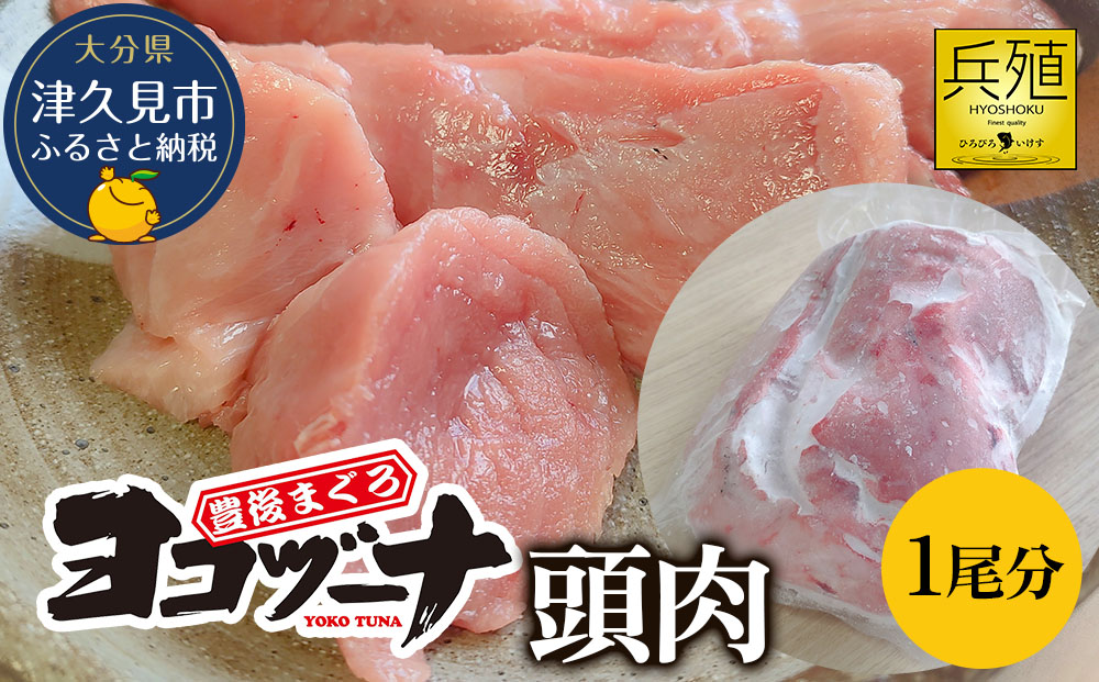 豊後まぐろ ヨコヅーナ 頭肉 1尾分 (4切) | マグロ 希少部位 冷凍 大分県産 九州産 津久見市 国産