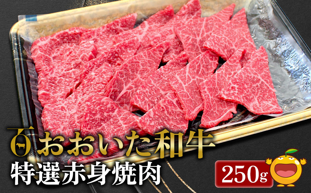 おおいた和牛 特選赤身焼肉 250g 牛肉 和牛 ブランド牛 黒毛和牛 ミスジ サンカク もも肉 赤身肉 焼き肉 焼肉 バーベキュー 大分県産 九州産 津久見市 熨斗対応