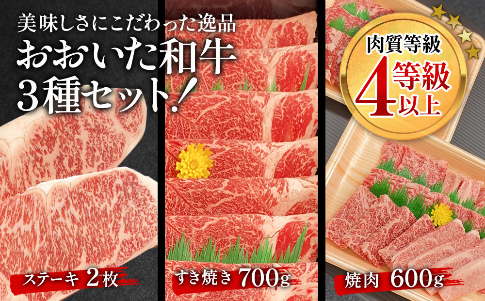 おおいた和牛大満足セット ステーキ2枚・すき焼き700g・焼肉600g 和牛 豊後牛 国産牛 赤身肉 焼き肉 すき焼き しゃぶしゃぶ 大分県産 九州産 津久見市 国産