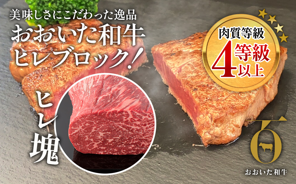 おおいた和牛 ヒレブロック約1kg 和牛 豊後牛 国産牛 赤身肉 焼き肉 焼肉 大分県産 九州産 津久見市 国産