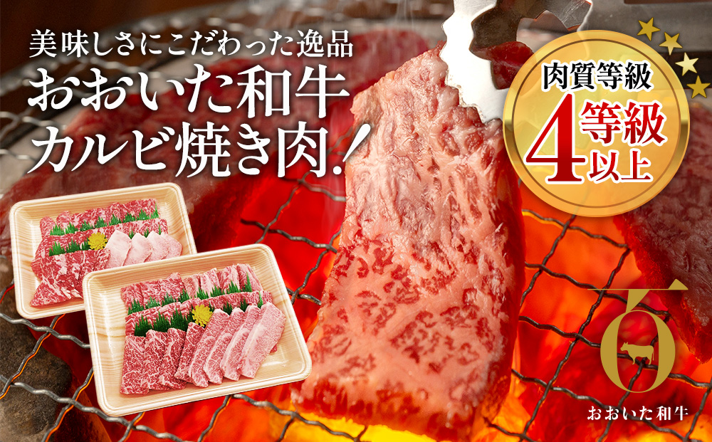 おおいた和牛 焼肉用 300g×2P(合計600g） 牛肉 黒毛和牛 バラ肉 和牛 豊後牛 国産牛 赤身肉 焼き肉 焼肉 大分県産 九州産 津久見市 国産