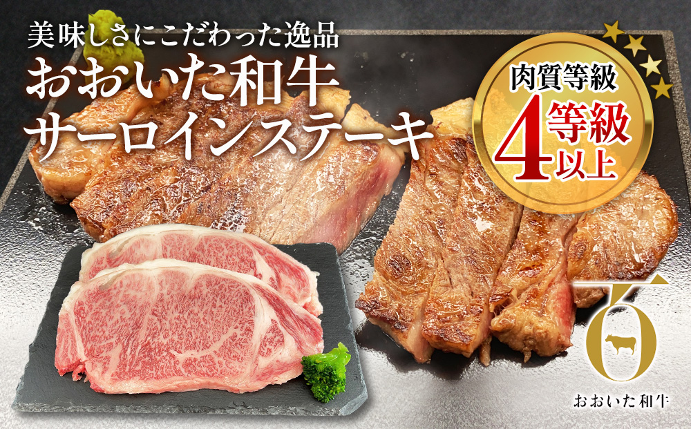 おおいた和牛 サーロインステーキ 約180g×2枚(合計360g) 和牛 豊後牛 国産牛 赤身肉 焼き肉 焼肉 ステーキ肉 大分県産 九州産 津久見市 国産