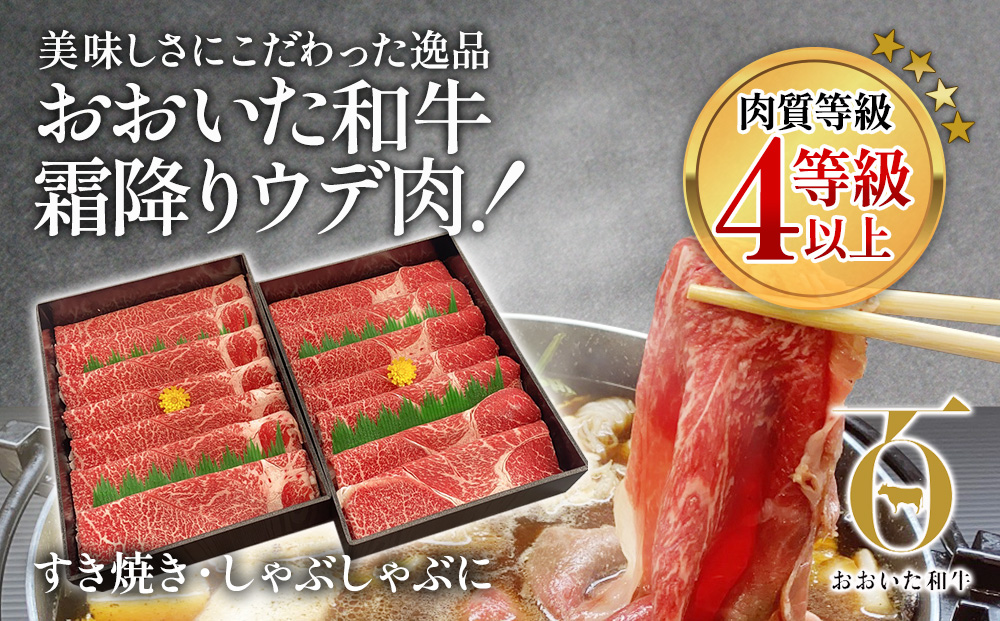 おおいた和牛 すき焼き・しゃぶしゃぶ700g×2P(合計1.4kg) ウデ肉 和牛 豊後牛 国産牛 赤身肉 大分県産 九州産 津久見市 国産