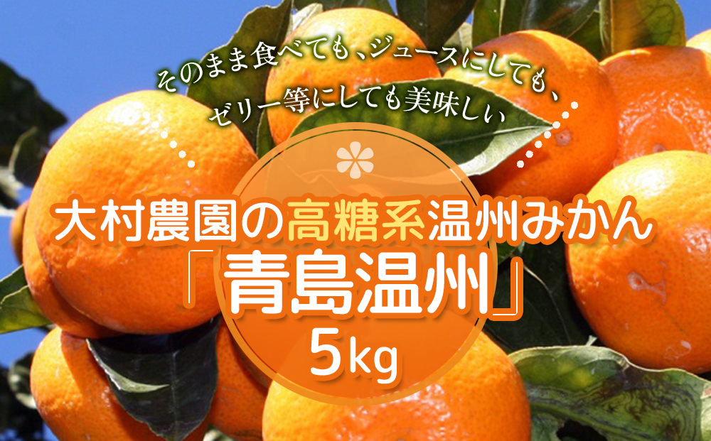 【先行予約】大村農園の温州みかん 青島温州 5kg | みかん ミカン 果物 大分県 九州 津久見市 国産