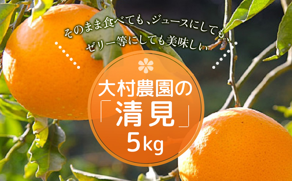 【先行予約】大村農園のみかん 清見 5kg ミカン 蜜柑 オレンジ 果実 旬のフルーツ 大分県産 九州産 津久見市 国産