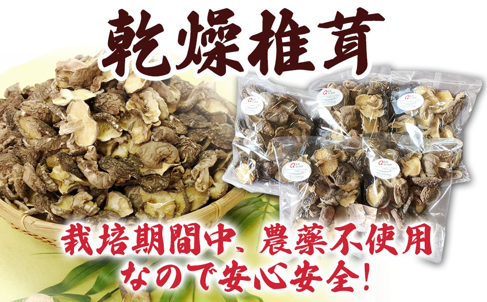乾燥椎茸 訳あり 椎茸100g×5パック | 干ししいたけ 大分県 津久見市 九州産