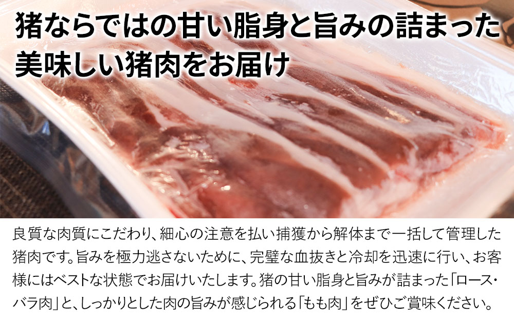 ジビエの里 山賊猪鍋 ぼたん鍋セット 4人前(極上猪肉600g、山賊味噌) 鍋 ジビエ鍋 猪肉 いのしし 猪鍋 大分県産 九州産 津久見市