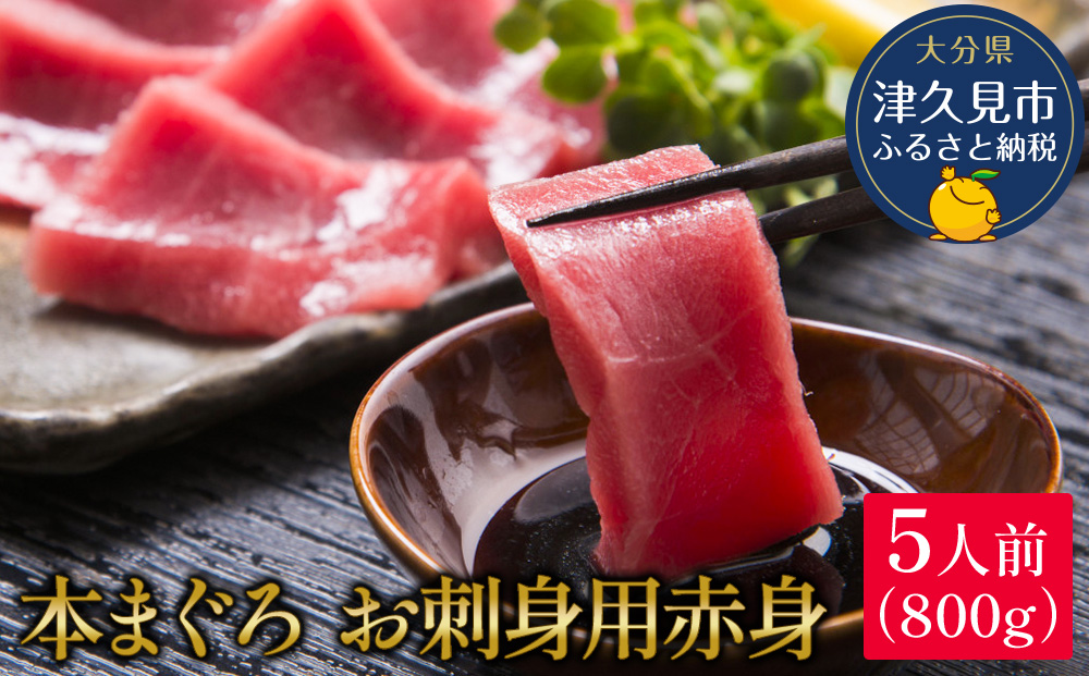 【本マグロ】 まぐろお刺身用 赤身5人前(800g) | 鮪 刺身 冷凍 大分県 九州 津久見市