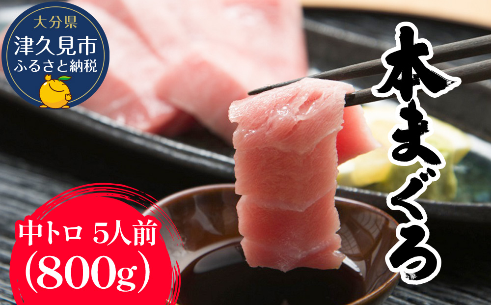 【本まぐろ】 お刺身用 中トロ5人前(800g) | マグロ 冷凍 大分県 九州 津久見市
