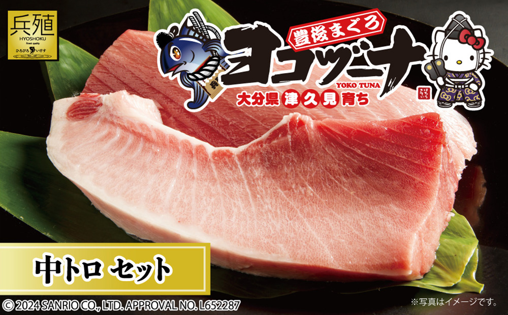 豊後まぐろ ヨコヅーナ刺身用・中トロ 400g 鮪 マグロ 海鮮丼 刺し身 盛り合わせ 冷凍 魚の刺身 大分県産 九州産 津久見市