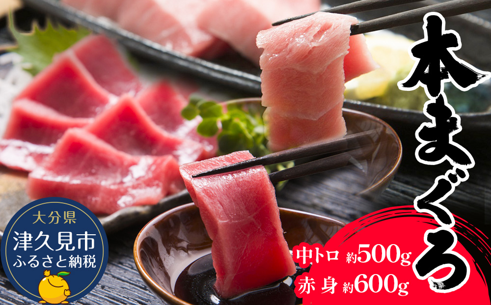 本マグロ まぐろ 中トロ 約500g・赤身 約600gセット 鮪 海鮮丼 刺し身 刺身 盛り合わせ 冷凍 魚の刺身 大分県産 九州産 津久見市 熨斗対応