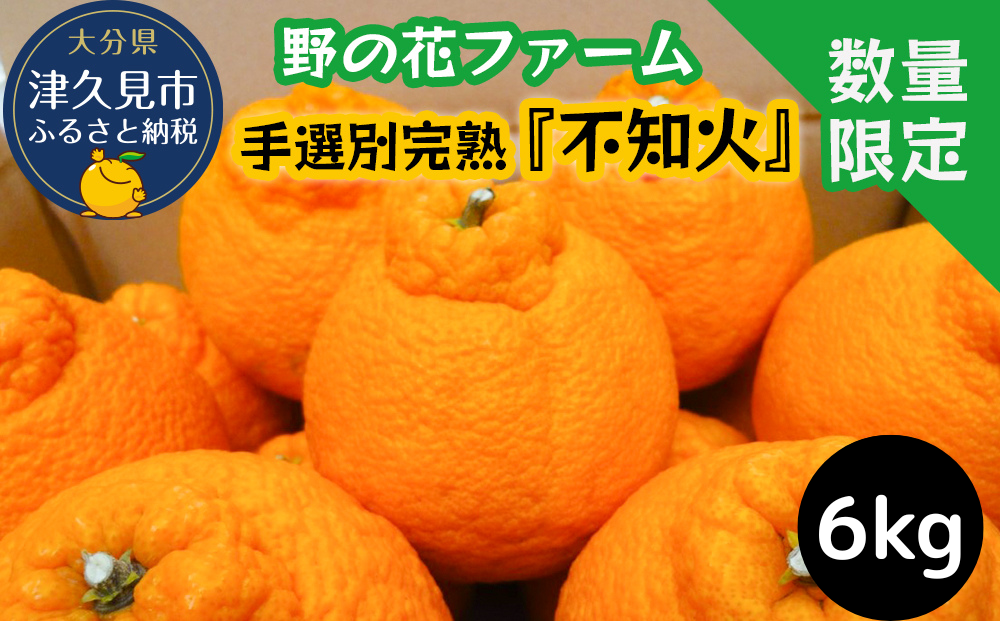 [先行予約・数量限定]野の花ファーム 不知火 6kg | 手選別完熟 みかん ミカン 果物 大分県 九州 津久見市 国産