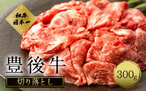 大分県竹田産 おおいた和牛 切り落とし 【300g】