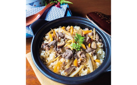 【大分の味凝縮！】豊後牛メシ 150g×4袋 計600g