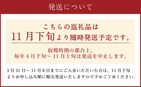 自然薯姫 （青果） 約1kg 【発送不可期間:毎年4月下旬-11月上旬】