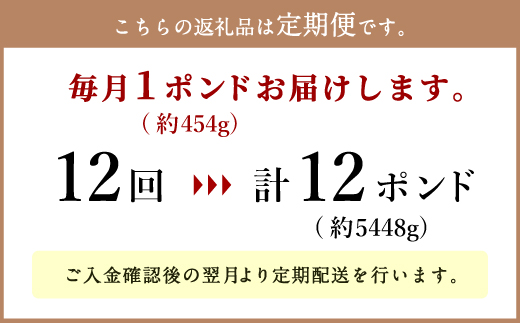 【定期便12回】日本一の和牛 おおいた豊後牛 1ポンド エアーズロック 極厚ステーキ 約454g×12回 計12ポンド （約5448g）