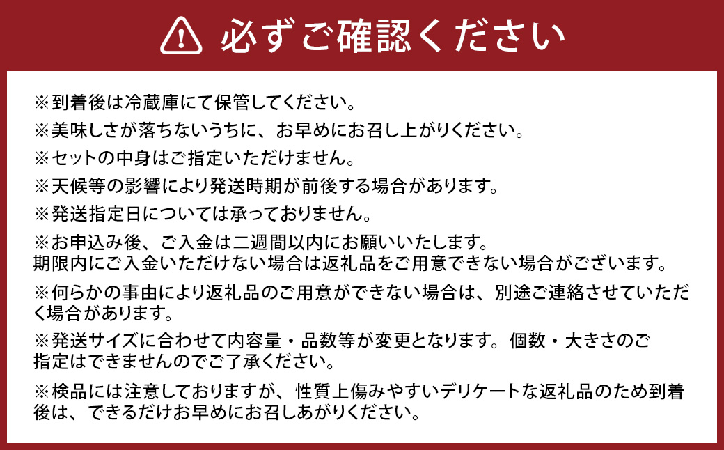 その時期の一番美味しいをお届け！ 竹田育ちの 「野菜詰め合わせセット」 A