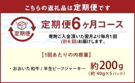 【6カ月定期便】【黒毛和牛】 おおいた和牛/半生ビーフジャーキー 約200g（約40g×5P）×6回 計約1.2kg